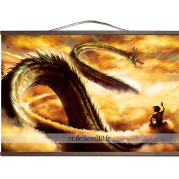Poster canevas Dragon Ball