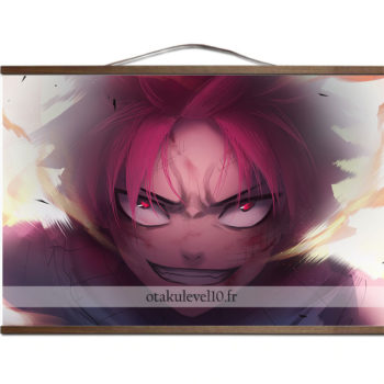 Poster Fairy Tail canevas