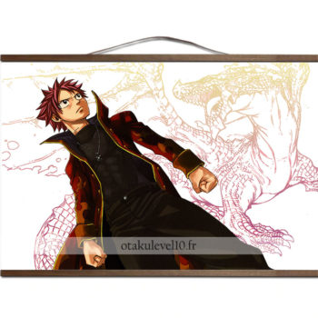 Poster Fairy Tail canevas