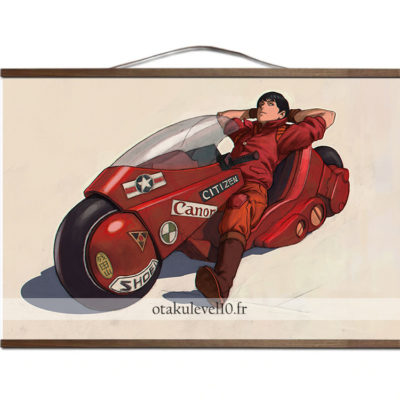 Toile Akira Kaneda, canevas et bois
